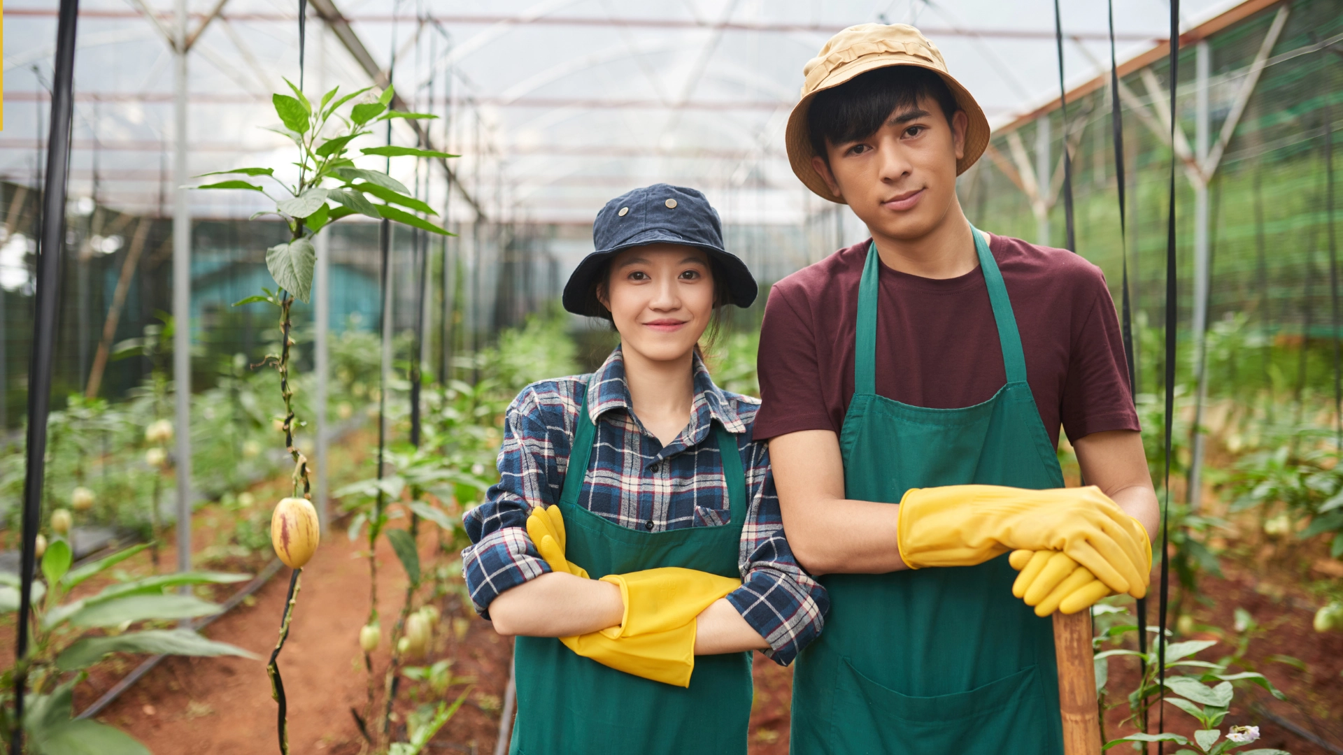 Canada Farm Worker Visa Program 2025/2026 - Apply Now